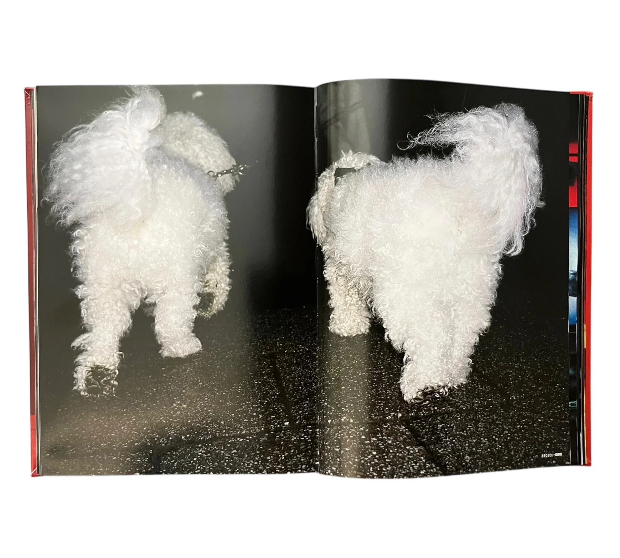 Thumbnail 11